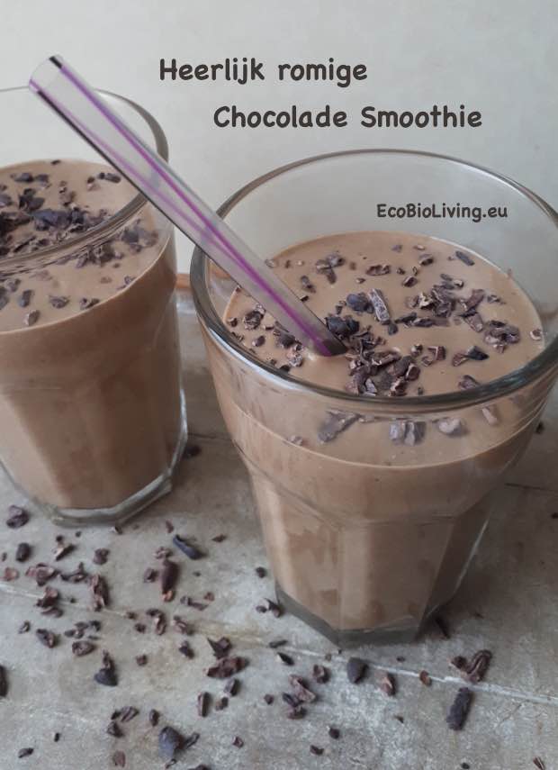 Romige Chocolade Smoothie - snel gezond ontbijten
