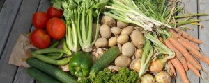 EcoBioLiving, eco bio natuurlijk - Gezonder Genieten - verse groenten uit de zelfoogsttuin
