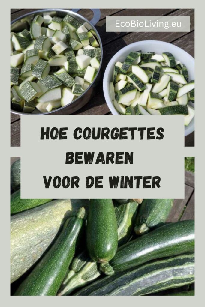 Hoe courgettes bewaren voor de winter? Collage-Pin om te bewaren voor later. 