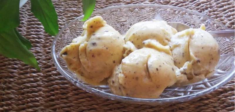 Leerling Piraat beu Mango ijsjes maken - lekker, snel en gezond ijs maken! • EcoBioLiving
